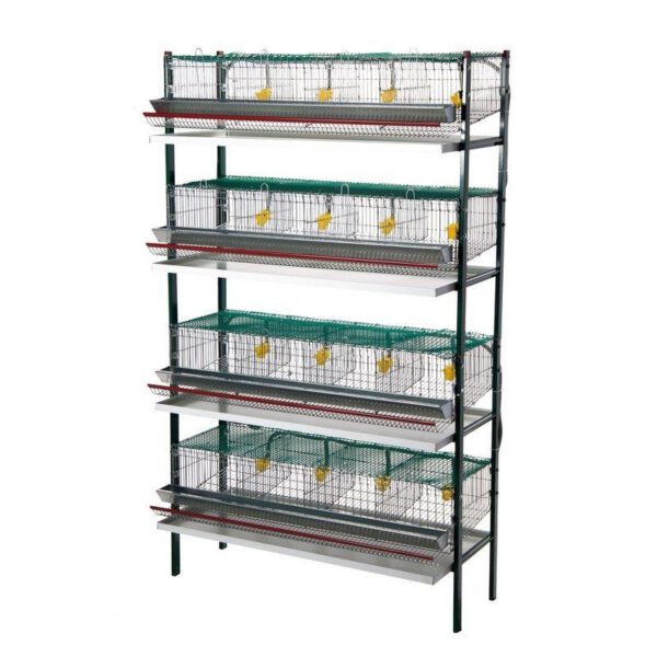Batería de Jaulas para Codornices