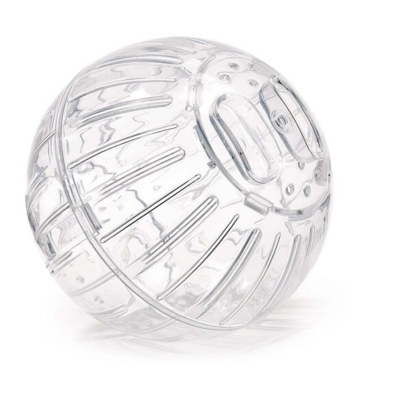 Bola para Hamster